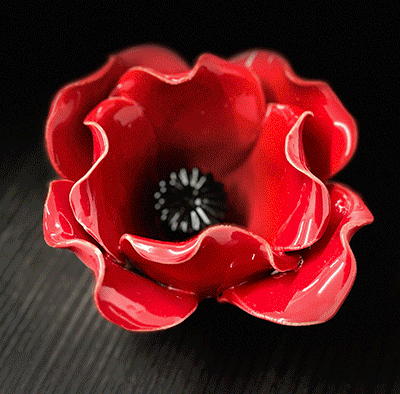 Purchase Poppy